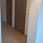 Apartment - Marsovice