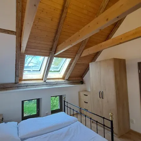 - Zakladna Marsovice Nove Mesto na Morave